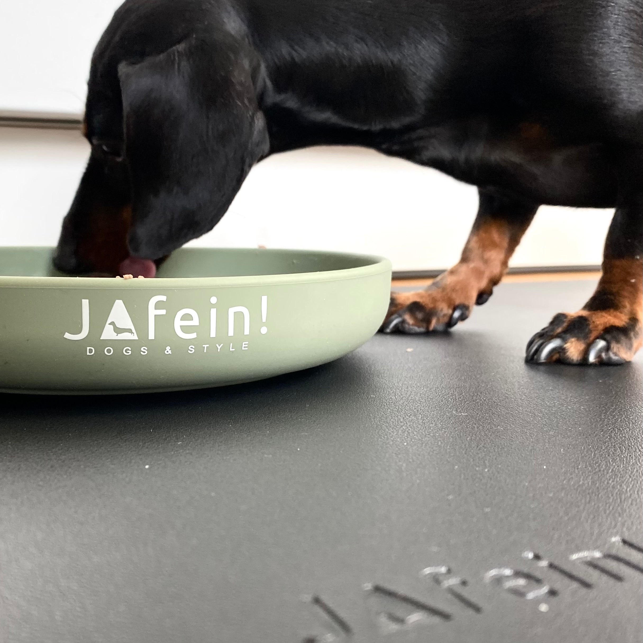 Entdecke den JAfein!® Schleckteller Calme für deinen Hund