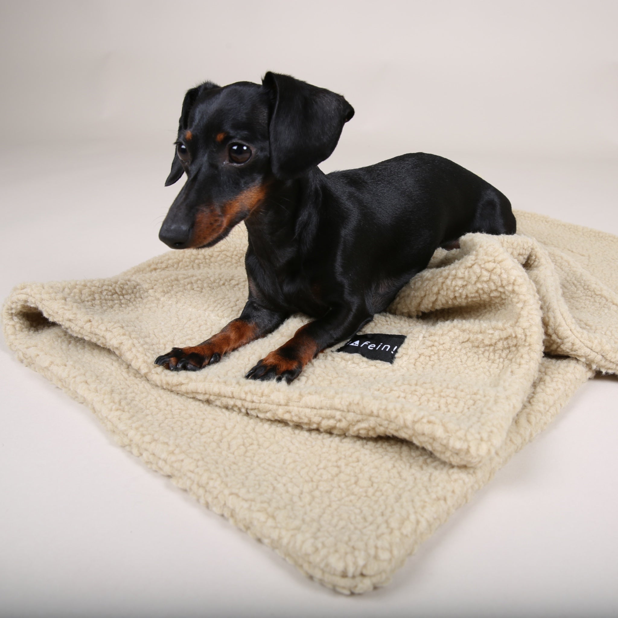 Hundereisedecke Bouclé Beige | Hundereisedecke | JAfein! Dogs & Style