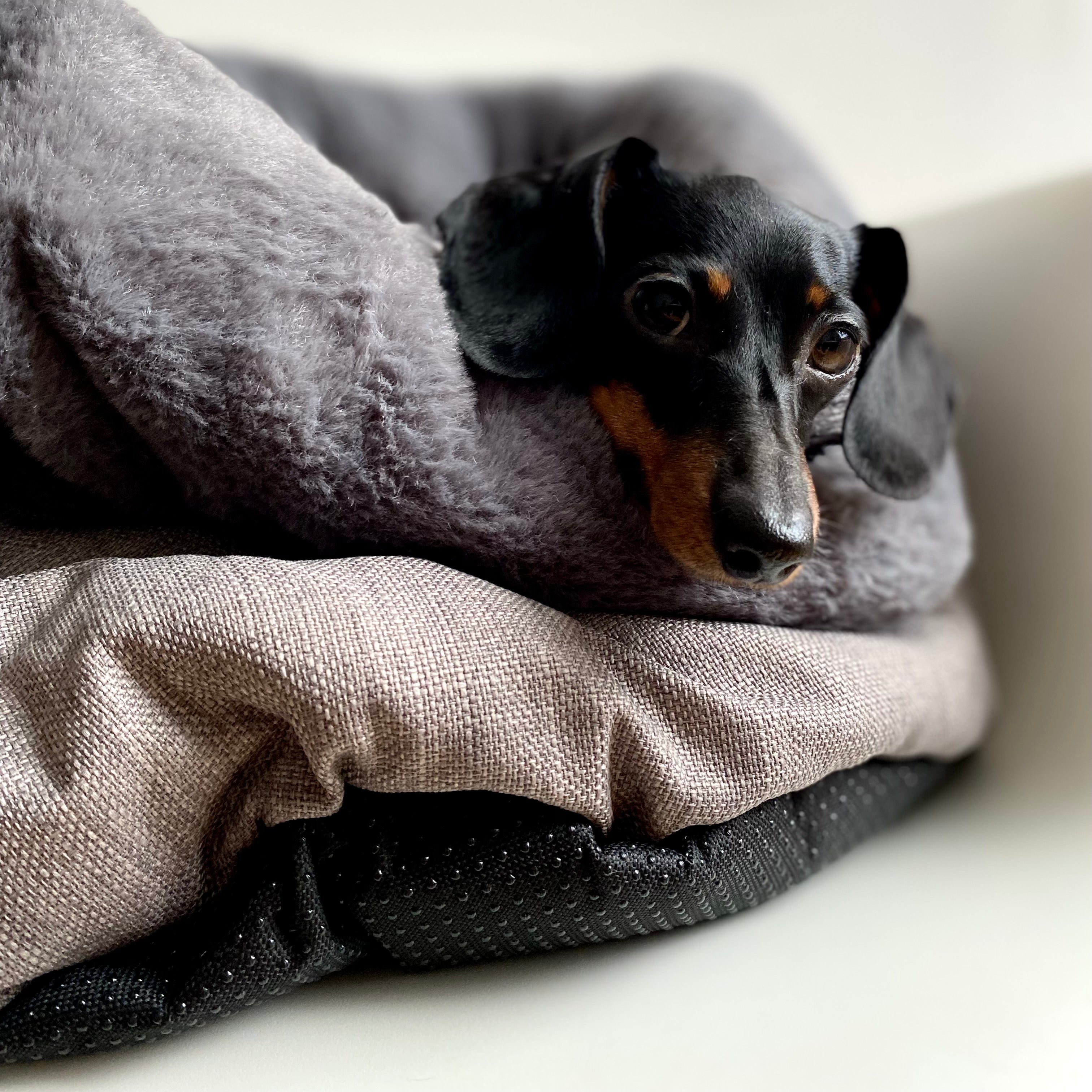 JAfein! Hundekuschelsack Cocoon de Chantilly Anthrazit