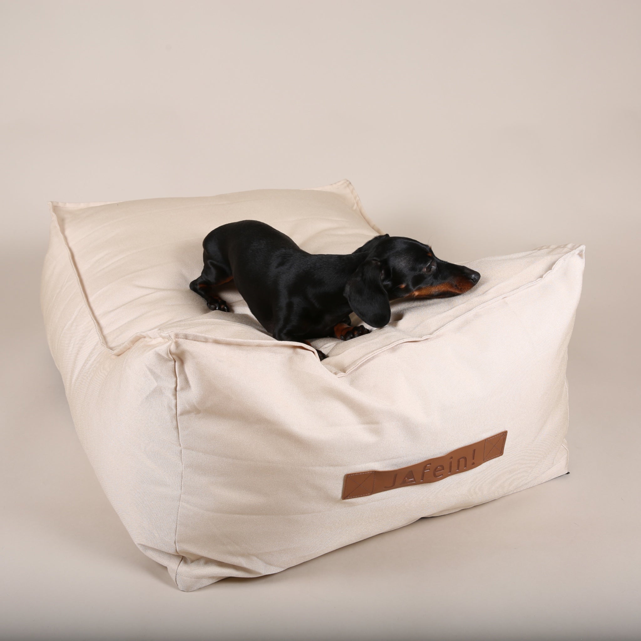 JAfein! Bundle Le Divan mit Hundedecke Bouclé