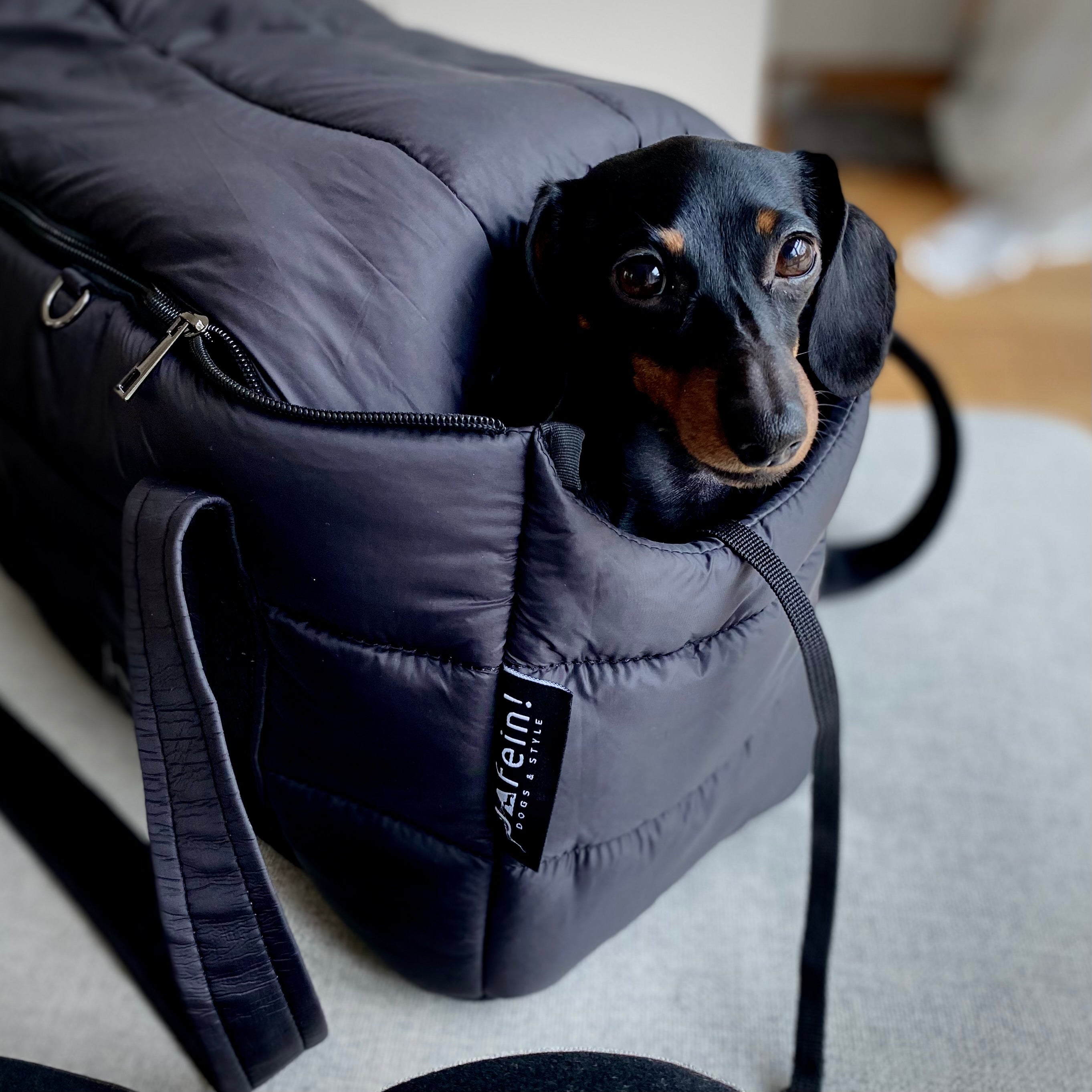 JAfein! Hundetasche Montblanc Schwarz