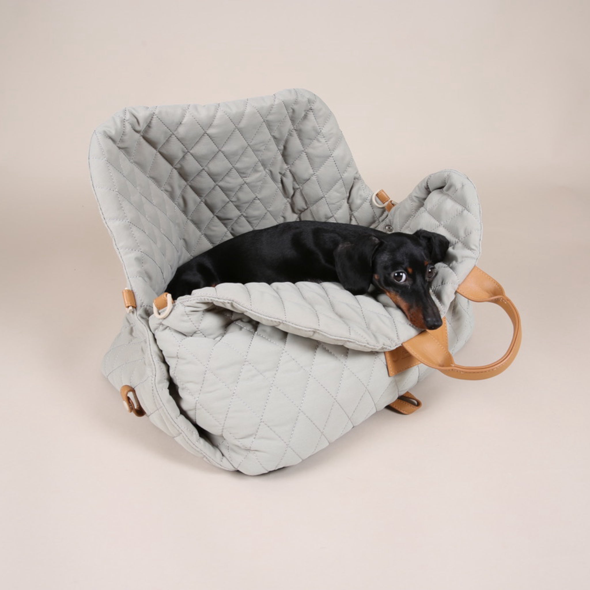 Elegante Hunde Tragetasche | Grün Hundetasche | JAfein! Dogs & Style